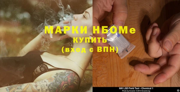 стаф Волосово