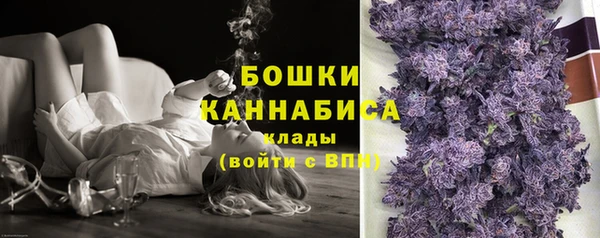 стаф Волосово