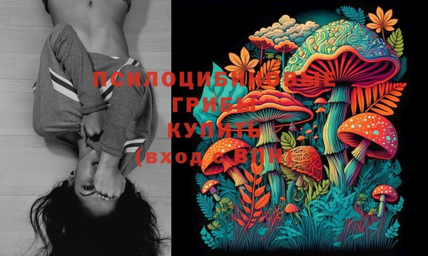 кокс Волоколамск