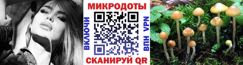 Псилоцибиновые грибы прущие грибы  Купить где  Покачи 